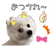 839196542