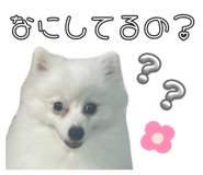 839196554