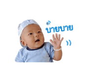 839196816