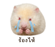 839197643