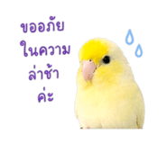 839198034