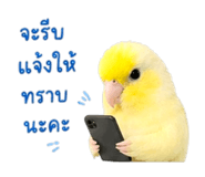 839198038