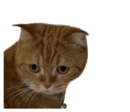 839198090