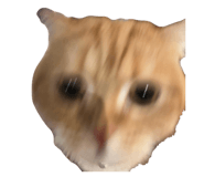 839198093