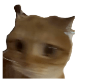 839198096