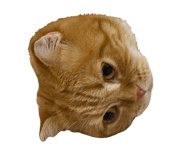 839198099