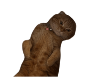 839198104