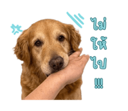 839198357
