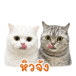 839198562