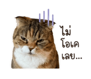 839198716