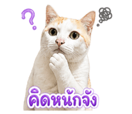 839198784