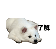 839198901