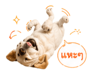 839199313