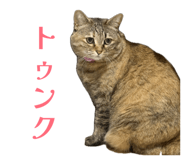 839199728