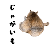 839199729