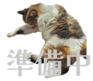 839200017