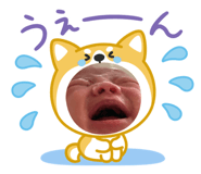 839200186