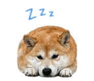 839201709