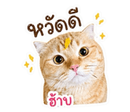 839203105
