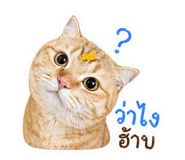 839203108