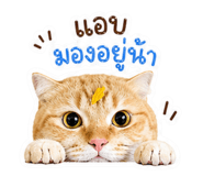 839203111