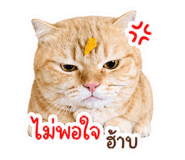 839203112