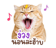 839203113