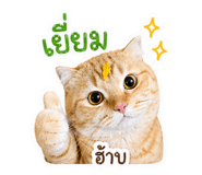 839203114