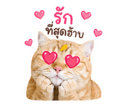 839203115