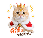 839203116