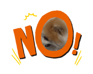 839204316