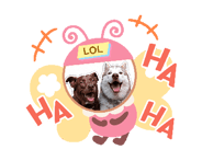 839204335