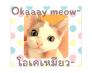 839205086