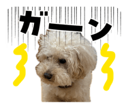 839205123