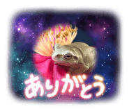 839205586