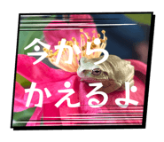 839205590