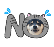 839206037