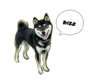 839206042