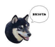 839206044