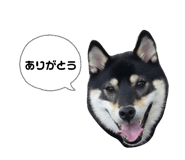 839206045