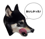 839206048
