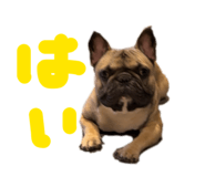 839206085