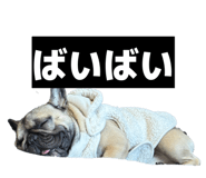 839206088