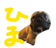 839206093