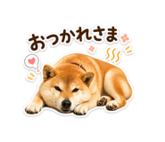 839206515