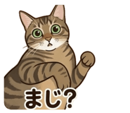 839206537