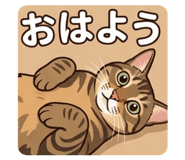839206539