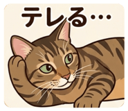 839206542