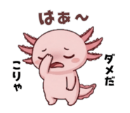 839206687