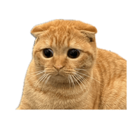 839206708